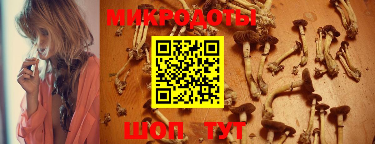 Галлюциногенные грибы Cubensis Алексин