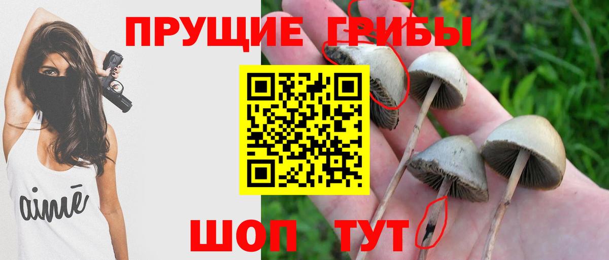 Псилоцибиновые грибы Magic Shrooms  Псилоцибиновые грибы мицелий  Вход с VPN  купить наркоту  Алексин 
